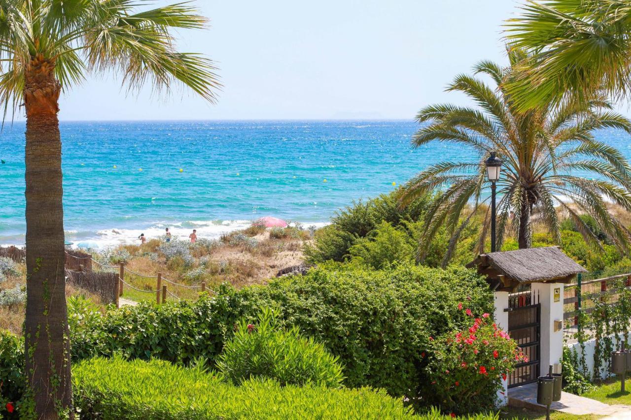 Beachfront Luxury - Monteros Palm Apartment